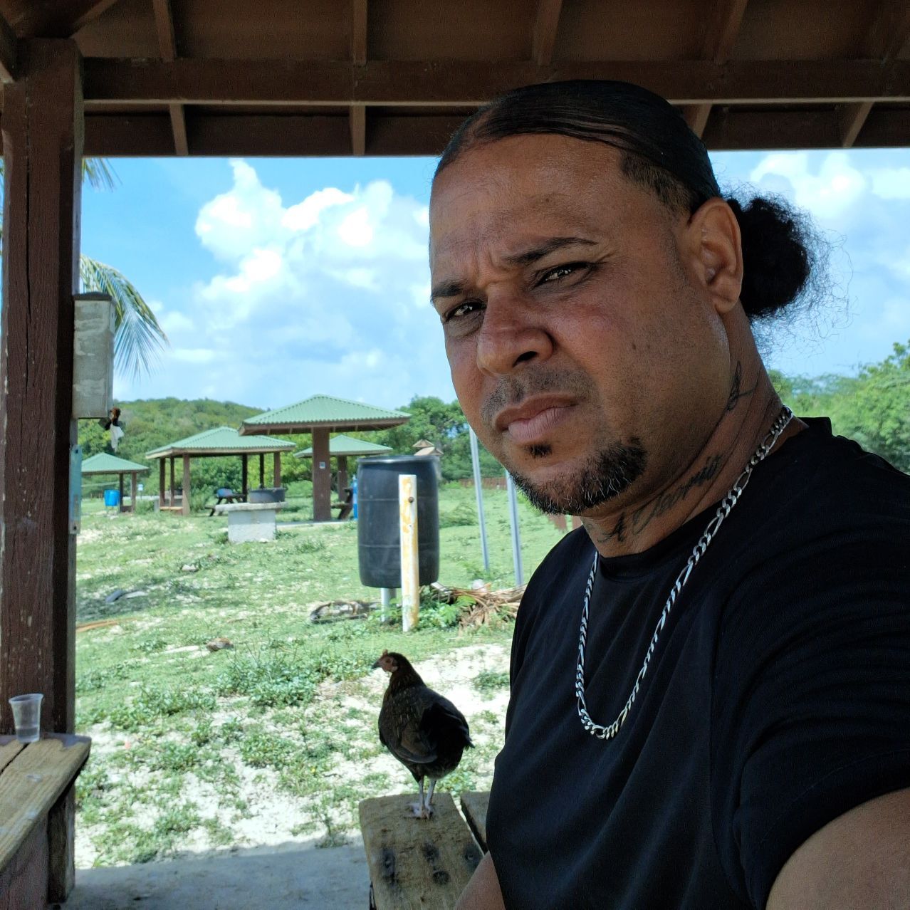 <strong>ALBERTO PRIMERA V.</strong>